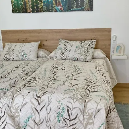 Gallaecia Duplex Апартаменты Арсуа